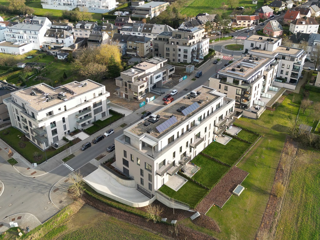 Image de référence