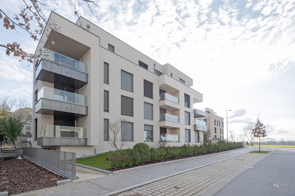 Image de référence